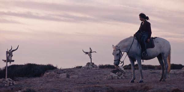 Animale (Mediabook - 4K UHD & Blu-ray)