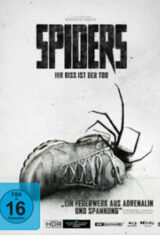 Spiders