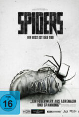 Spiders