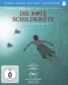 Die rote Schildkröte | © universum