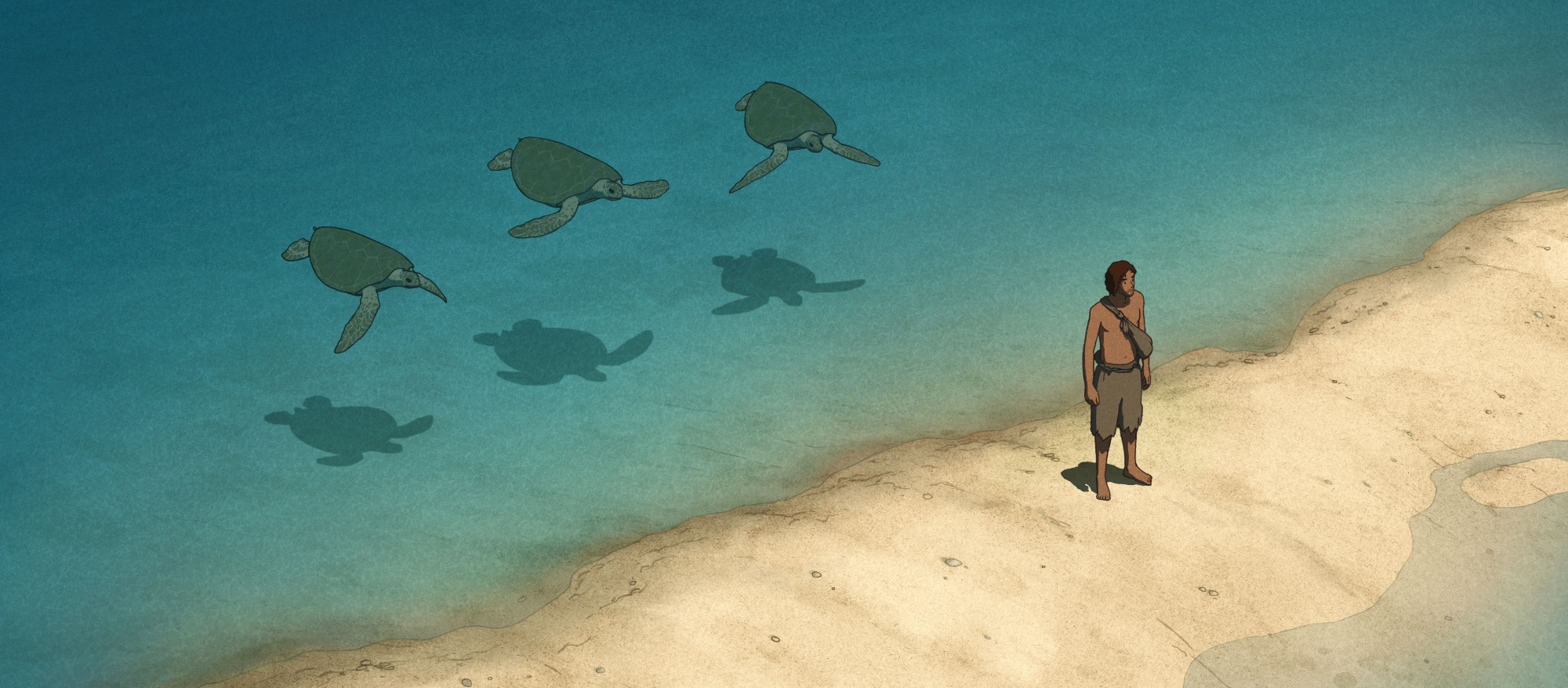 Die rote Schildkröte | &copy; universum