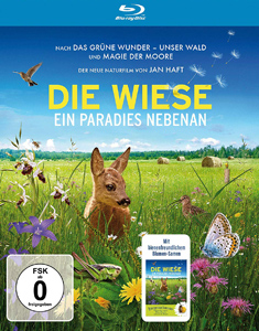 Die Wiese