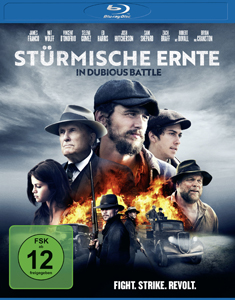 Stürmische Ernte