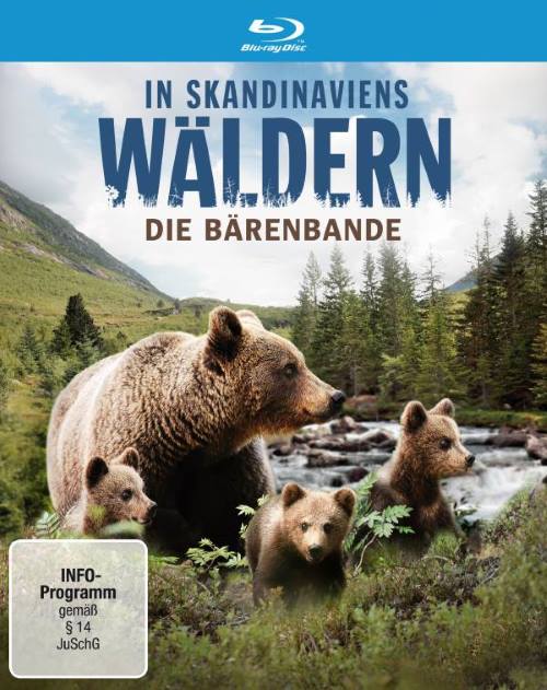 In Skandinaviens Wäldern - Die Bärenbande | &copy; Polyband