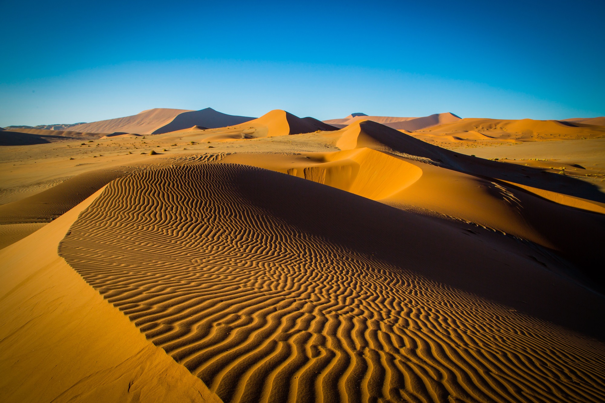 The sand dunes of Namibia in southwest Africa's Namib Desert are strikingly beautiful - and are some of the oldest in the world. They are also some of the largest, and can reach a staggering 1,000 feet tall.